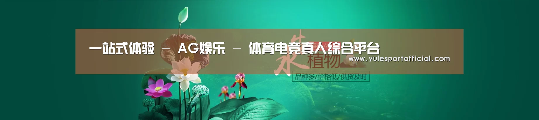 鲜花水草花卉网站模板
