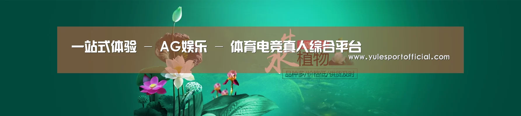 鲜花水草花卉网站模板