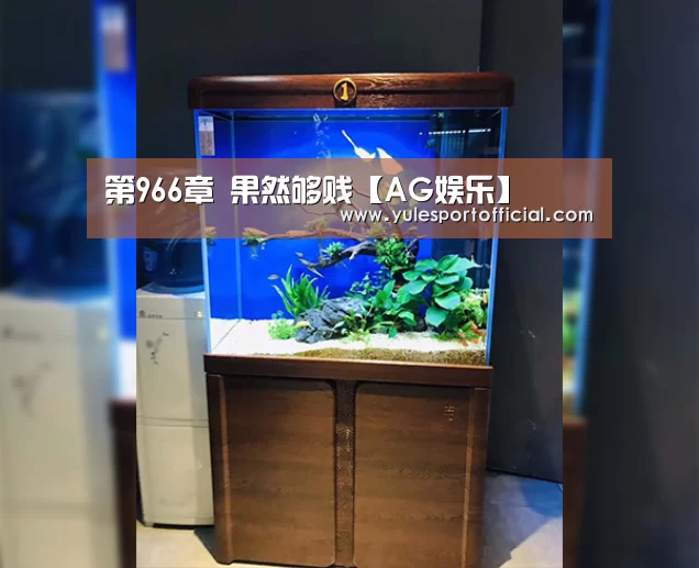 第966章 果然够贱【AG娱乐】(图1) AG娱乐